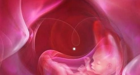 武汉第三代试管医院排名？试管助孕机构名单一览？