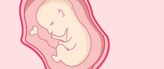 郑州大学第二附属医院单周期试管费用多少钱？