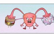 在河北做第三代试管婴儿哪家医院比较便宜？影响三代试管费用的因素有哪些？