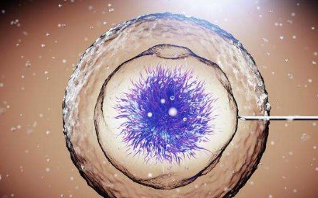 国内能试管婴儿（国内试管婴儿什么时候开始的）